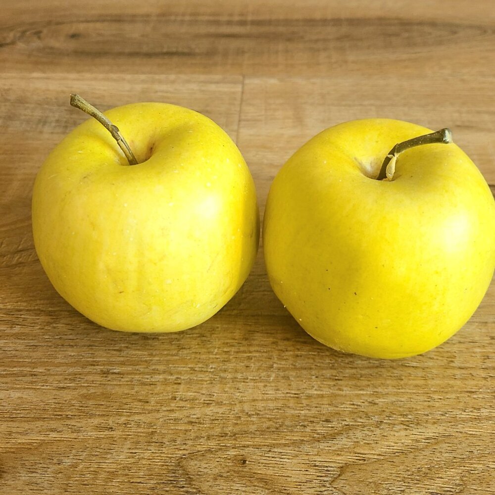 2 realistic looking artificial apples. Kitchen decor.